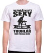 Narozeninový originální dárek pro každého truhláře-Pánské vtipné tričko ze serie povolání / hobby-truhlarske tričko - Nesnáším být sexy