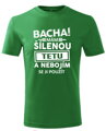 Dětské tričko - Bacha mám šílenou tetu...