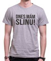 Tričko - Dnes mám slinu!