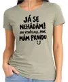 Tričko - Tričko Já se nehádám! Jen vysvětluji, proč mám pravdu