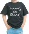 Dětské tričko - Jsem malej, ale šikovnej