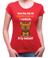 Tričko s pejskem - Jsou dny, kdy mé dokáže nasrat i vzduch!