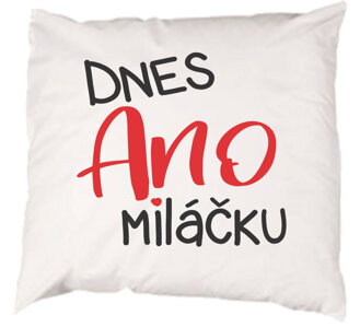 Povlak na polštář - Povlak na polštář - Dnes ANO miláčku