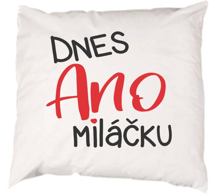 Povlak na polštář - Povlak na polštář - Dnes ANO miláčku
